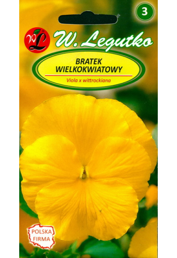 Garden pansy "Yellow"